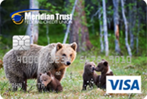 Bears debit card design