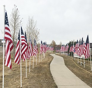 American Flags on display at the Cheyenne East branch