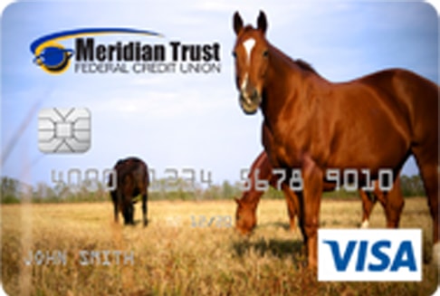 Horses debit card design