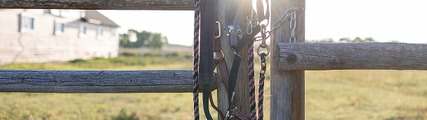 Business Savings Accounts